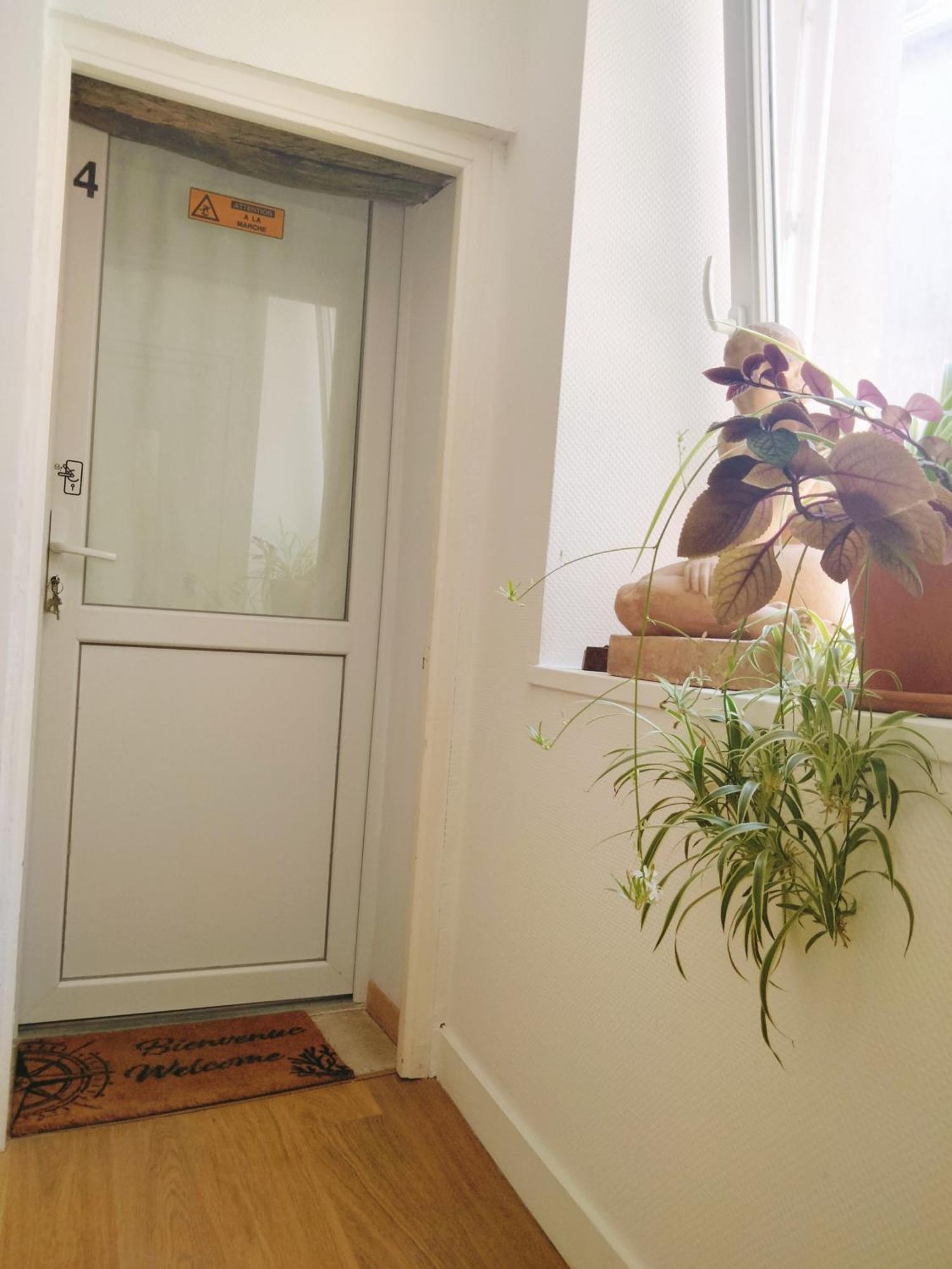 Cosy Appartement Hyper Centre-Ville 캥페르 외부 사진